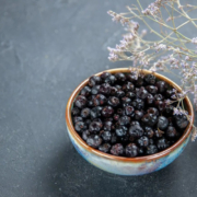 Wholesale Dried Blueberry Chips in Emirates