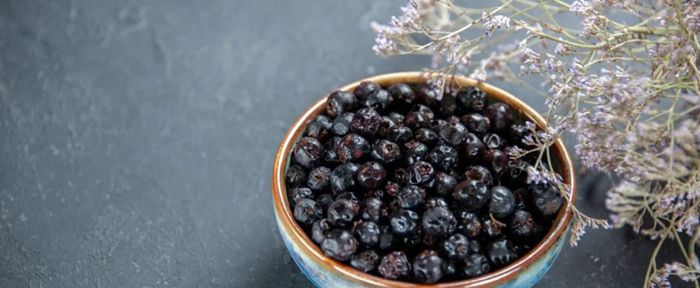 Wholesale Dried Blueberry Chips in Emirates