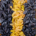 Bulk Iranian Raisins