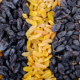 Bulk Iranian Raisins