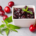 Wholesale sour cherry jam purchase from Iran
