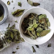 Wholesale Dried Basil from Iran | Buy Bulk Dried Basil + Price