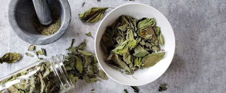 Wholesale Dried Basil from Iran | Buy Bulk Dried Basil + Price