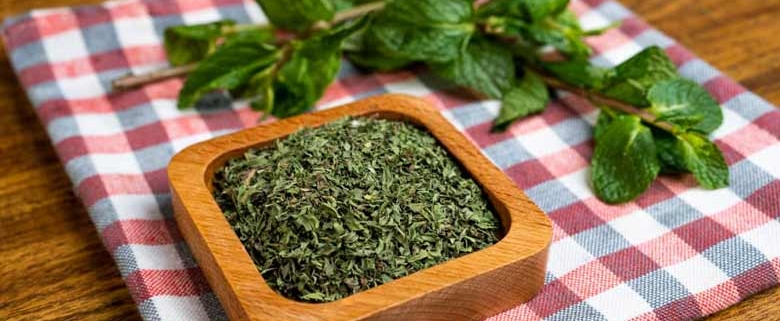 Wholesale Dried Mint from Iran | Buy Bulk Dried Mint + Price