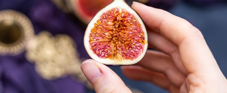 Wholesale Fig from Iran | Buy Bulk Fig + Price