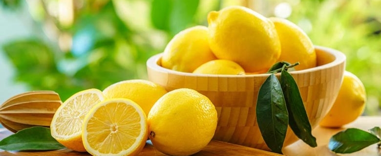 Wholesale Lemon from Iran | Buy Bulk Lemon + Price