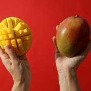 Wholesale Mango from Iran | Buy Bulk Mango + Price