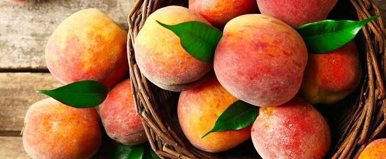 Wholesale Peach from Iran | Buy Bulk Peach + Price