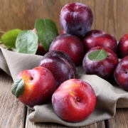 Wholesale Plum from Iran | Buy Bulk Plum + Price
