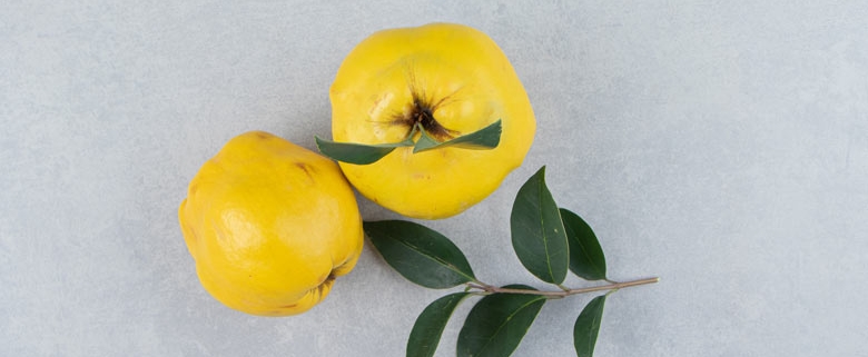 Wholesale Quince from Iran | Buy Bulk Quince + Price
