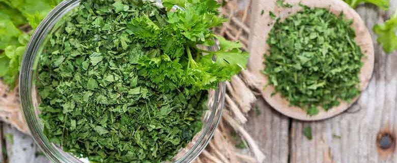 Wholesale Dried Parsley from Iran | Buy Bulk Dried Parsley + Price
