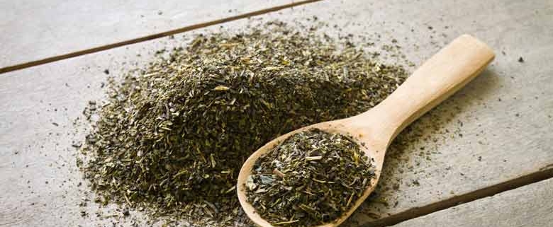 Wholesale Dried Tarragon from Iran | Buy Bulk Dried Tarragon + Price