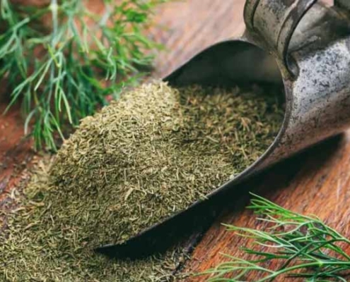 Wholesale Dried Dill from Iran | Buy Bulk Dried Dill+ Price