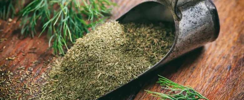 Wholesale Dried Dill from Iran | Buy Bulk Dried Dill+ Price