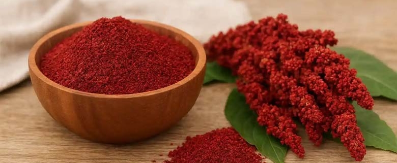 Wholesale Sumac from Iran | Buy Bulk Sumac + Price