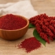 Wholesale Sumac from Iran | Buy Bulk Sumac + Price