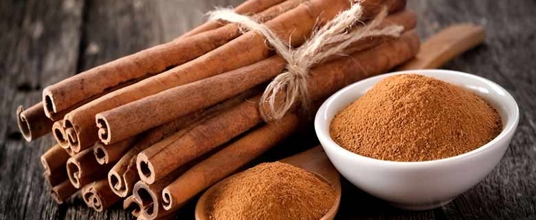 Wholesale cinnamon from Iran | Buy Bulk cinnamon + Price